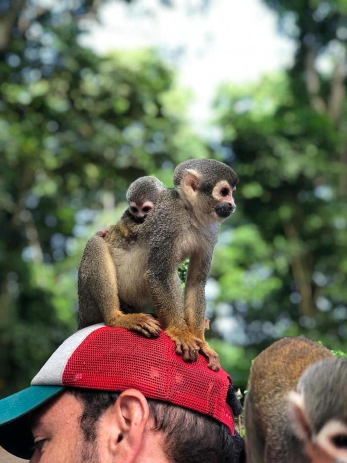 Hotel Yurupary Amazonas Leticia Dış mekan fotoğraf