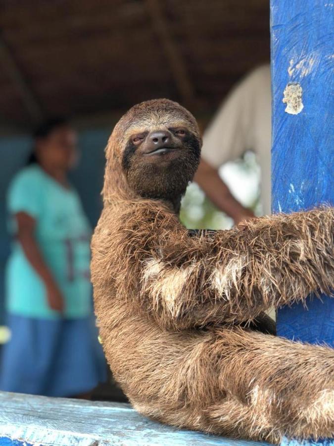 Hotel Yurupary Amazonas Leticia Dış mekan fotoğraf
